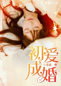 ����С˵:�����ɻ�