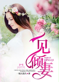 ����С˵:һ������