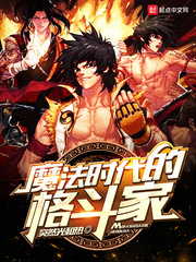 ����С˵:ħ��ʱ���ĸ񶷼�