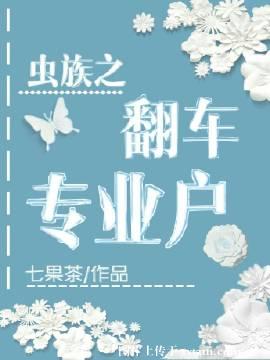 ����С˵:����֮����רҵ��