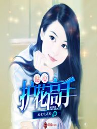 ����С˵:���Ļ�������