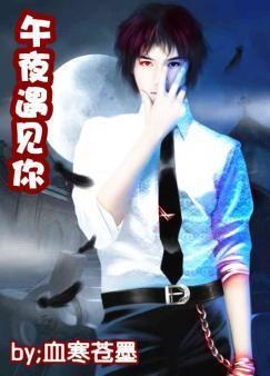 ����С˵:��ҹ������