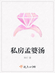 ����С˵:˽��������