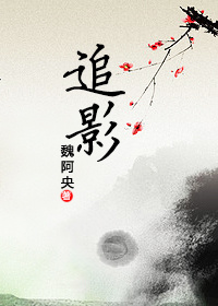 ����С˵:׷Ӱ