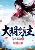 ��ʷС˵:��������