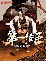 ��ʷС˵:���Ƶ�һ����