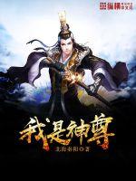 ����С˵:��������