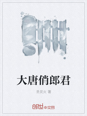 历史小说:大唐俏郎君 历史小说:大唐俏郎君