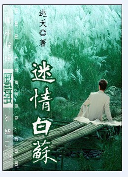 ����С˵:�������