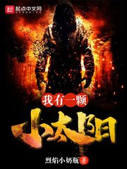 ����С˵:����һ��С̫��