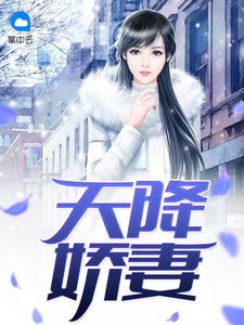 ����С˵:�콵���ޣ����ٺ���������