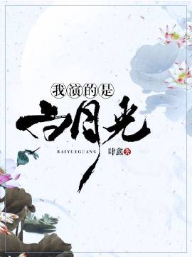 ����С˵:���ݵ��ǰ��¹�