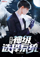 ����С˵:����֮��ѡ��ϵͳ