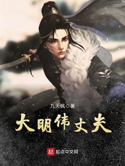 历史小说:大明伟丈夫 历史小说:大明伟丈夫