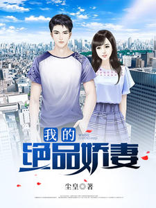 ����С˵:�ҵľ�Ʒ���ޣ��޽�����������