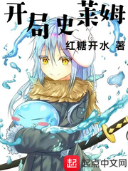 ����С˵:����ʷ��ķ