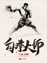 ����С˵:��ȭ��ʦ