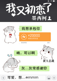 ����С˵:���ֳ�����