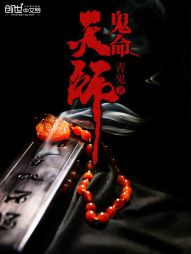 ����С˵:������ʦ