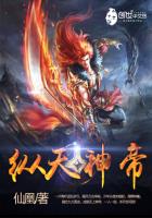 ����С˵:�������