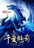 玄幻小说:网游之千变魅影 玄幻小说:网游之千变魅影