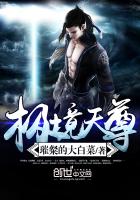 玄幻小说:极境天尊 玄幻小说:极境天尊