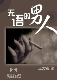 ����С˵:���������