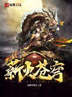 ����С˵:н����