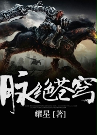 ����С˵:�������