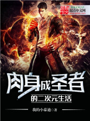 ����С˵:������ʥ�ߵĶ���Ԫ����