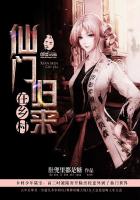 ����С˵:���Ź��������