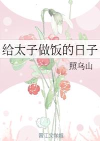 ����С˵:��̫������������