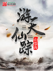 ����С˵:��������