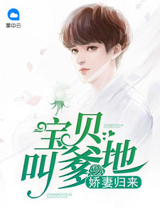 言情小说:天才双宝:傲娇前妻抱回家(叶唯陆霆琛) 言情小说:天才双宝:傲娇前妻抱回家(叶唯陆霆琛)