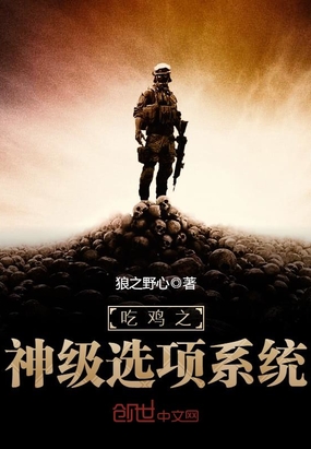 ����С˵:�Լ�֮��ѡ��ϵͳ