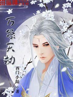 ����С˵:�������