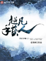 ����С˵:����������