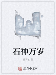 ����С˵:ʯ������