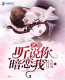 ����С˵:������˵�㰵����