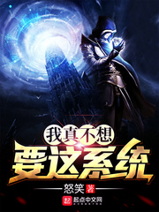 ����С˵:���治��Ҫ��ϵͳ