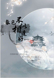 ����С˵:��ɫ��������