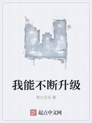 ����С˵:���ܲ�������