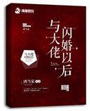 言情小说:与大佬闪婚以后 言情小说:与大佬闪婚以后