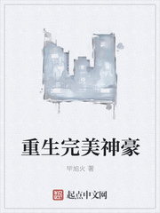 ����С˵:�����������