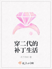 ����С˵:�������Ĳ�������