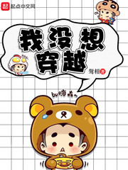 ����С˵:��û�봩Խ