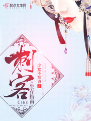 ����С˵:�̿�����ָ��