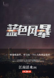 ����С˵:��ɫ�籩