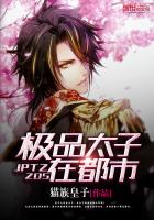 ����С˵:��Ʒ̫���ڶ���