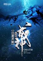 ����С˵:����ֻ�ǿ�ʼ